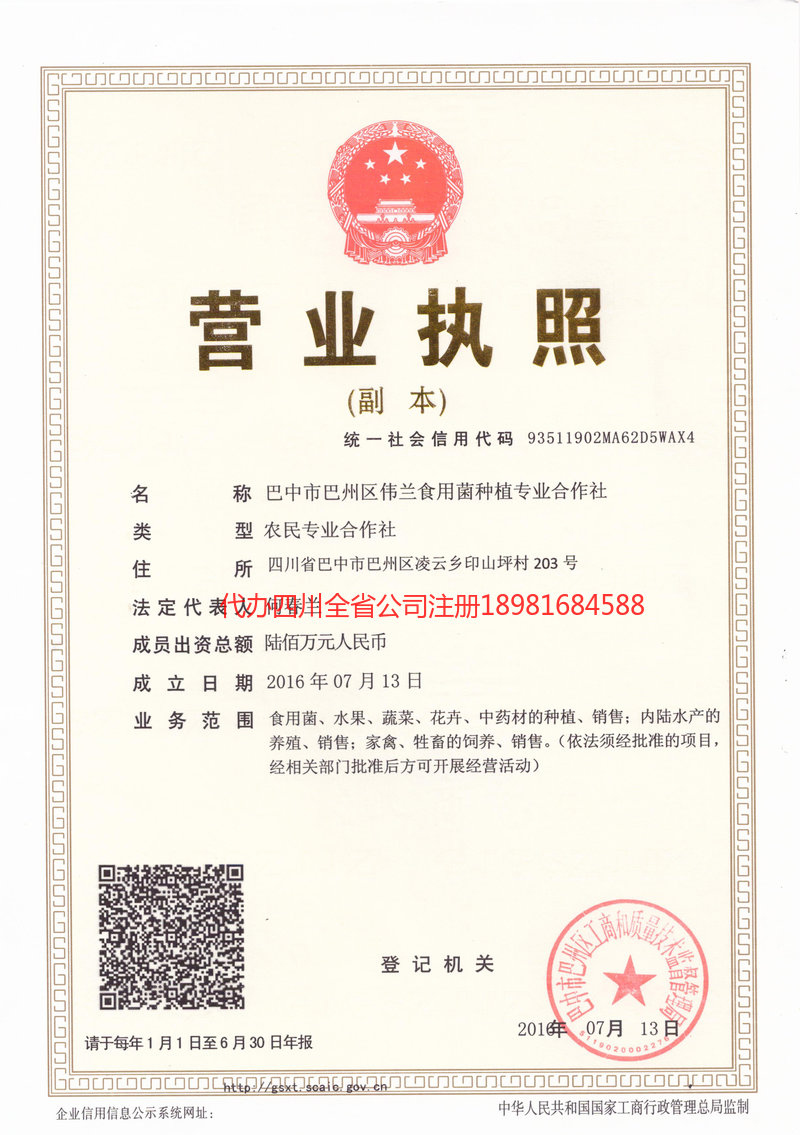 孝义孝义伟兰食用菌种植专业合作社